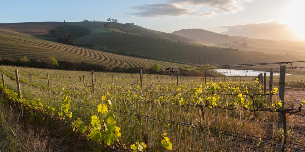 Spring Competition: Win a Gravel Cycle Tour and Luxury Picnic for Two