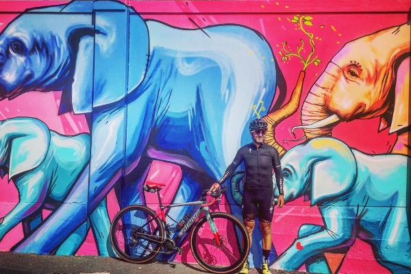 Cape Peninsula Graffiti Road Tour