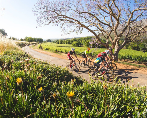 Mont Angelis Cape Vélo Cycling