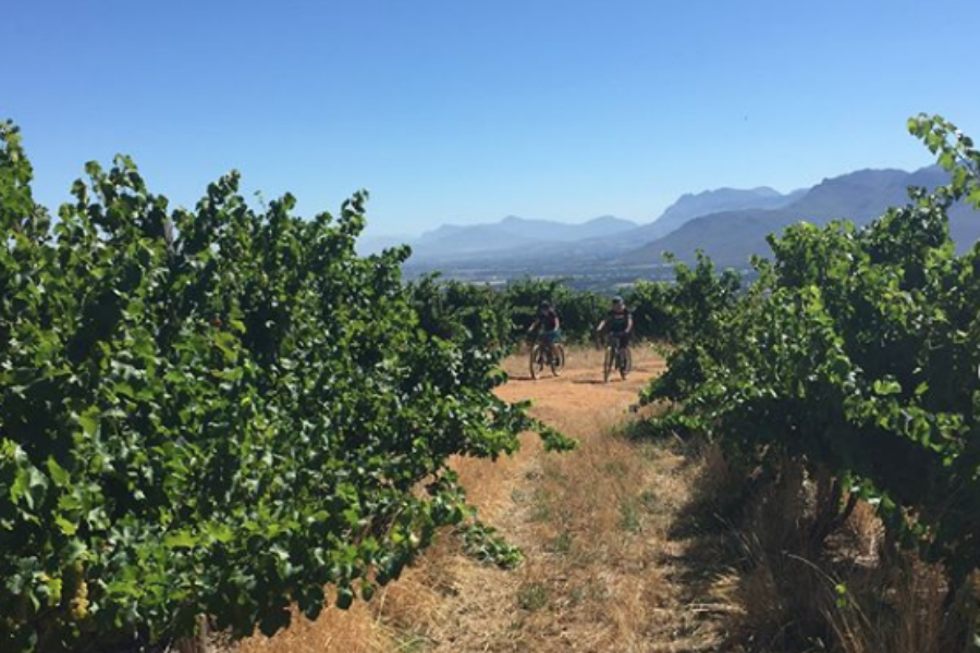 Boschendal MTB Tour