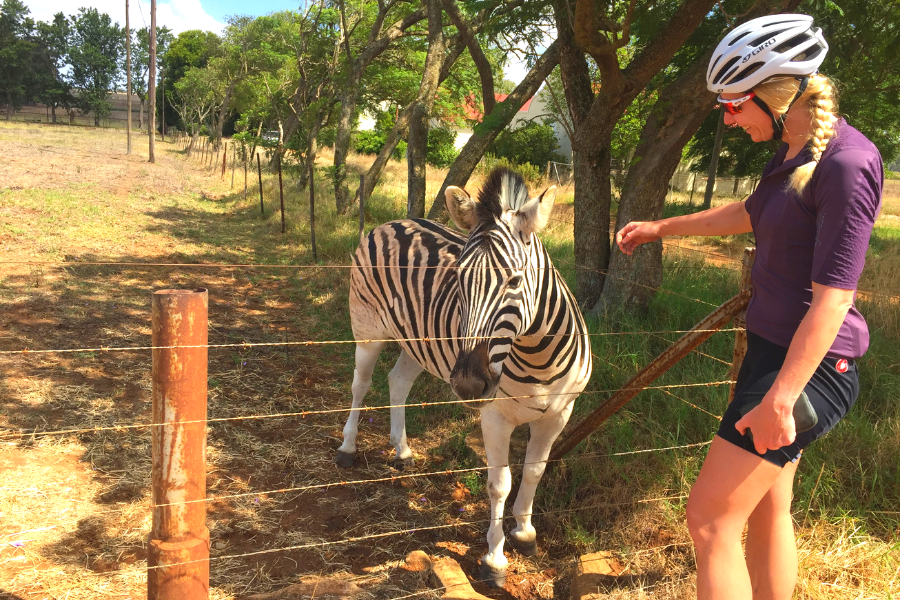 Spice Route Gravel Grinder