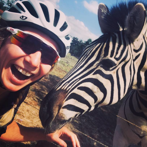 Spice Route Gravel Grinder