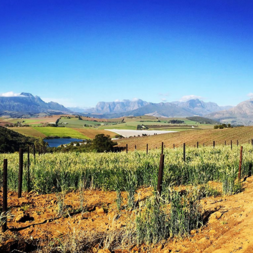 Simonsberg MTB Trail Network
