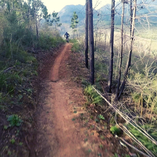 Wild Boar Trails Cape Vélo