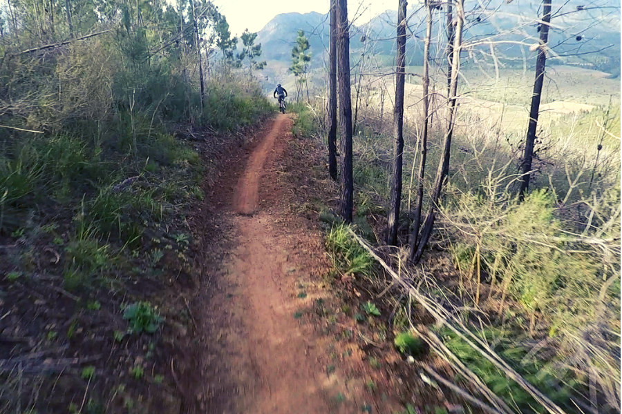 Wild Boar Trails Cape Vélo